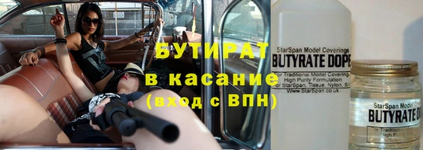 индика Алзамай