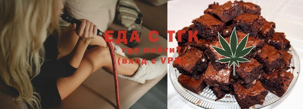 индика Алзамай