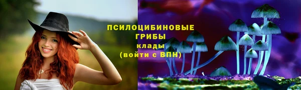 прущий лед Абаза