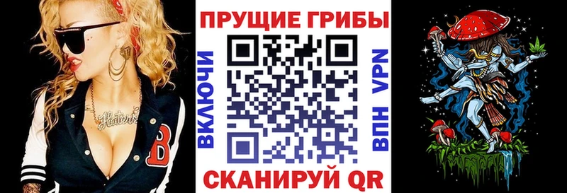 Псилоцибиновые грибы мицелий  Весьегонск 
